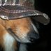 mephisto (@rhinestonezenin) Twitter profile photo mephisto (@rhinestonezenin) Twitter profile photo