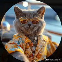 zing003#REVA🍊,💊 (@zing0003) 's Twitter Profile