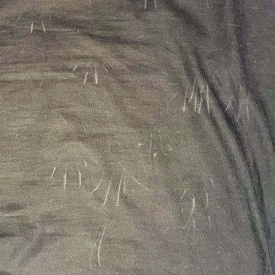 邪悪な葉っぱさんのプロフィール画像