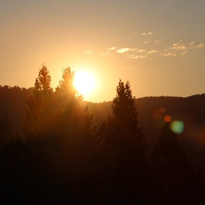 ChiRyanL's profile picture. 😎* Пу́тін — хуйло́* 😎