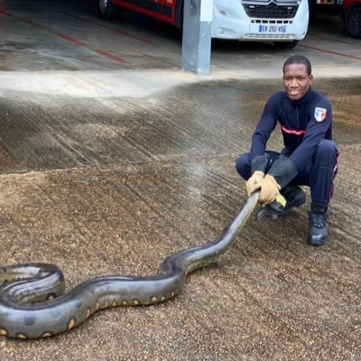 sapeurs-pompiers professionnel @sdis973. Audace de servir, discipline de chaque instant : ainsi s'instruit la loyauté qui, par le courage, nous mène à vaincre.