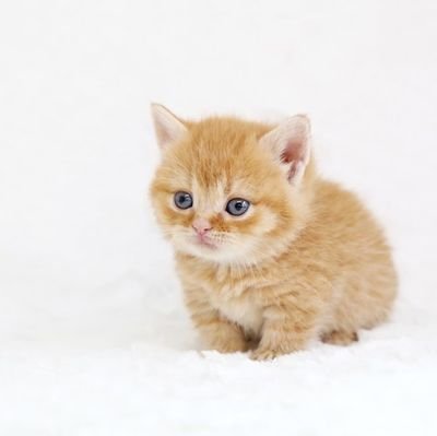 F6aaAOtw0p57359's profile picture. 岡山県高梁市在住の50代。１人暮らしです～☺️よろしくです。

あまり女性の扱いに､慣れていません。
何卒、ご理解下さい。