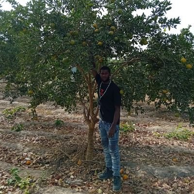 Amadou181772983's profile picture. 