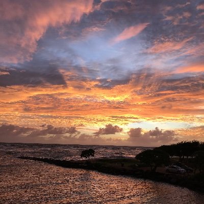 JB4021's profile picture. 