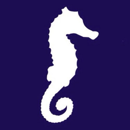 SEAHORSE Geomatics