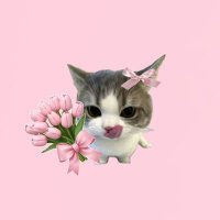 yoyi votes (@miongnjun) 's Twitter Profile