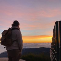 Nathaniel Greer (@cenestrad) 's Twitter Profile Photo