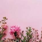 BashirAhme98012's profile picture. 