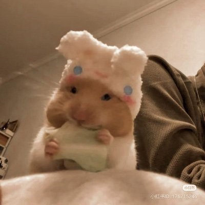 Rizu_m1907's profile picture. 