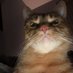 peyt.pey (@peyt_pey) Twitter profile photo peyt.pey (@peyt_pey) Twitter profile photo