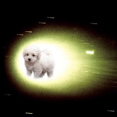 稼いだ金を趣味に全ツッパするために働いている会社の犬 ゲームや独り言🎮🌏🍋万博通期パス