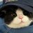 ssworldofme's profile image
