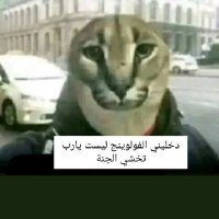 𝑆ℎ𝑎ℎ𝑜𝑑𝑎 (@shahodasayedd) 's Twitter Profile