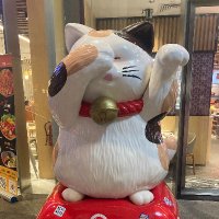 3日坊主な中間管理職 | 勉強とゆるさんぽ (@morethan3days) 's Twitter Profile