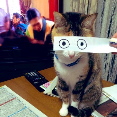 すきがあふれちゃうので、おにラブアカウントを分けました!ちょろめのみつきくん推しだけど2人ともだいすき。たまに変な絵を描きます。福岡のうえのほう在住。音楽とライブと猫とかわいいものがすき✨無言でも絡みなくてもお気軽にフォローどうぞどうぞー💛💜こちらからも♡も無言フォローも失礼しちゃいます♡