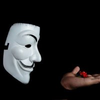 Hacker (@hacker183504) 's Twitter Profile
