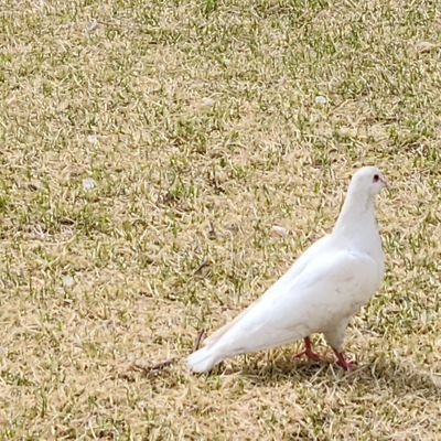 익명의 래 Profile