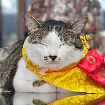 IlythiiN's profile picture. Born ELF 💙 IKONIC ❤ MELODY 🩵 REVELUV 🍰 Agase 🐦 BUNNY Omma 🐰
Work @ YULJE Hospital 🏥 90's baby who married a diamond 💎