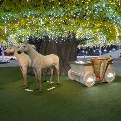 dzfo8XSTrL17450's profile picture. 40代の男性既婚者です。この年になって男の娘、ニューハーフに興味深々です。アニメ、音楽、スポーツが好きです。仲良くしてください