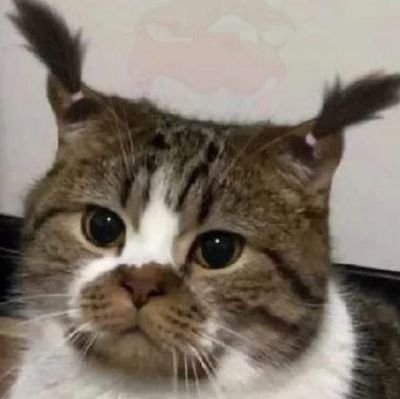 urkim_xx's profile picture. 