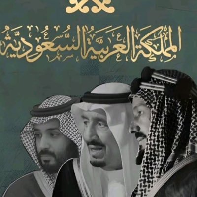 NasserAlaz33277's profile picture. GIS Specialist at Taibah University: Spatial analysis of sites, network spatial analysis, remote sensing, and @🎓GISخريجspatial analysis of vegetation cover.”