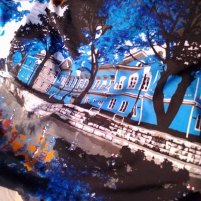 Dammy1241589's profile picture.