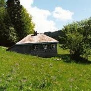 qualunque (@quaqualunque) Twitter profile photo