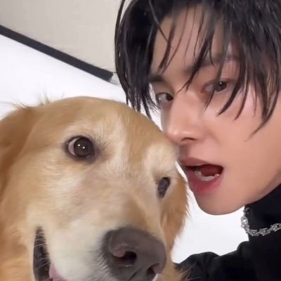 haanhng373's profile picture. miss my puppy