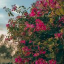 Kalyani Ray - @RayKalyani47041 - Twitter