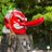 helitagetb's profile image