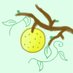 梨々(低浮) (@pear_and_pear) Twitter profile photo 梨々(低浮) (@pear_and_pear) Twitter profile photo