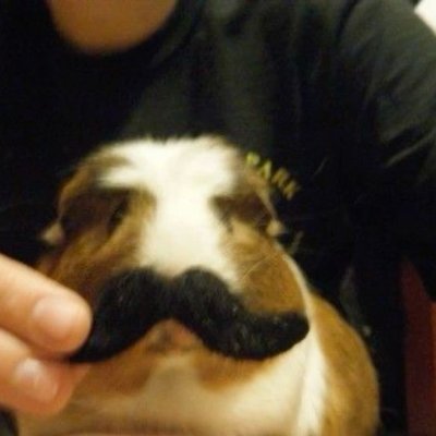 Marce1inaa's profile picture. 