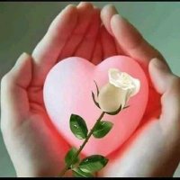 القيصر (@rqbdr3tarqb4259) Twitter profile photo