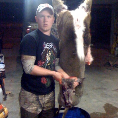 tigerlogan1's profile picture. 