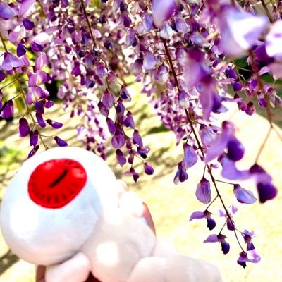 senさんのプロフィール画像
