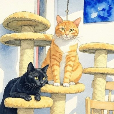 Kysti74963278's profile picture. Värnar om att ge alla människor och djur en röst… Är en sportintresserad och inbiten bajare 🏆 Orättvisor har jag inget för - de ska utrotas..