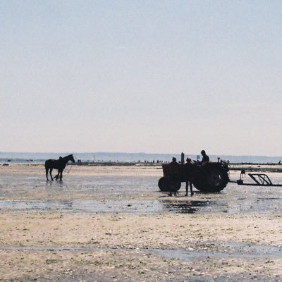 SPTA_partizan's profile picture. Beltkit and Daysack enthusiast. Snus lover. Likes Sci fi and alike.