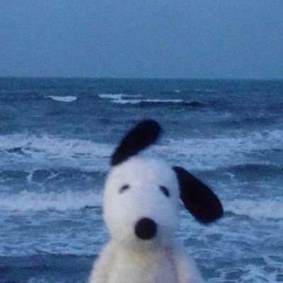 wavesさんのプロフィール画像