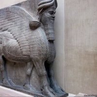 Mayar SH (@mayarsh11252) 's Twitter Profile