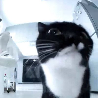 qwr_qwrr's profile picture. 