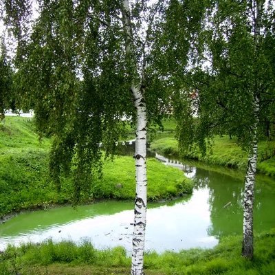 grdenzia's profile picture. 