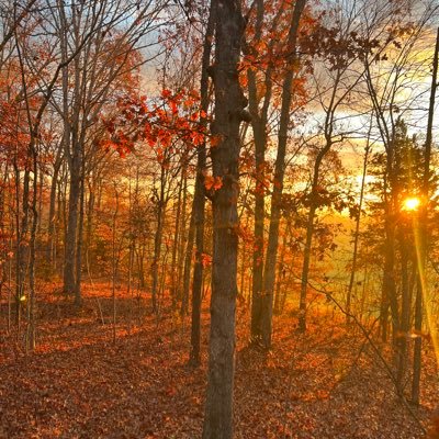 MDE Outdoors: As real as it gets. Hits, misses, we show it all. Watch us on CarbonTV, YouTube, and Outdoor Action Network