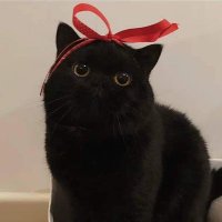 aden (rest) (@myglosslab) 's Twitter Profile