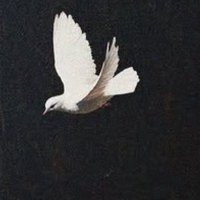 Cröuton Séànce Recordings (@croutonseance) 's Twitter Profile Photo Cröuton Séànce Recordings (@croutonseance) 's Twitter Profile Photo