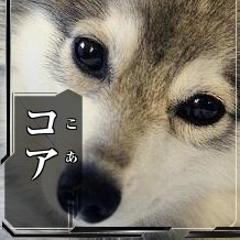 corr2002's profile picture. 達者でなニパ子
コアーズ大好きです。また洋楽邦楽問わずちょっと古めの音楽をよく聴きます。あとはゲームが好き（特に日本ファルコム）。
最近Vsingerにハマっています。月城セシルさん、透華レミさん、御神楽すずめさん、馬車道はげみさん、花雨リリーさん、早紅夜さん、雲母りぼんさん推し（その他多数）