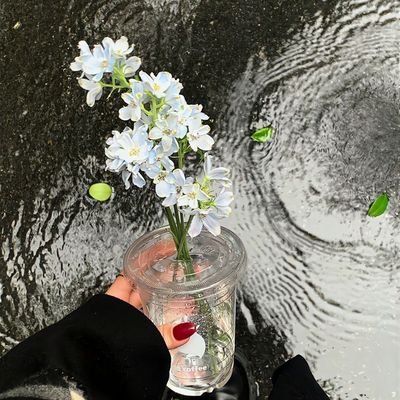 fina_yl's profile picture. 