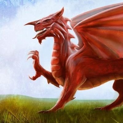Proud white woman, born & raised Welsh/English.
Embody ✝️ values of Great Britain.
BC & AD.
Advocate for vulnerable children & adults. Dogs are joyous 🐾