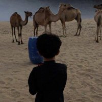 .أليث. (@jahahmm67235) 's Twitter Profile Photo .أليث. (@jahahmm67235) 's Twitter Profile Photo