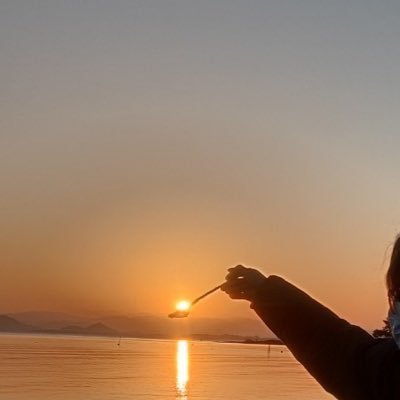 YamaCityP's profile picture. 関西贔屓