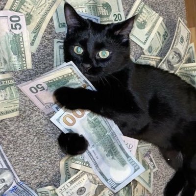 BtcFreeone's profile picture. love new currency